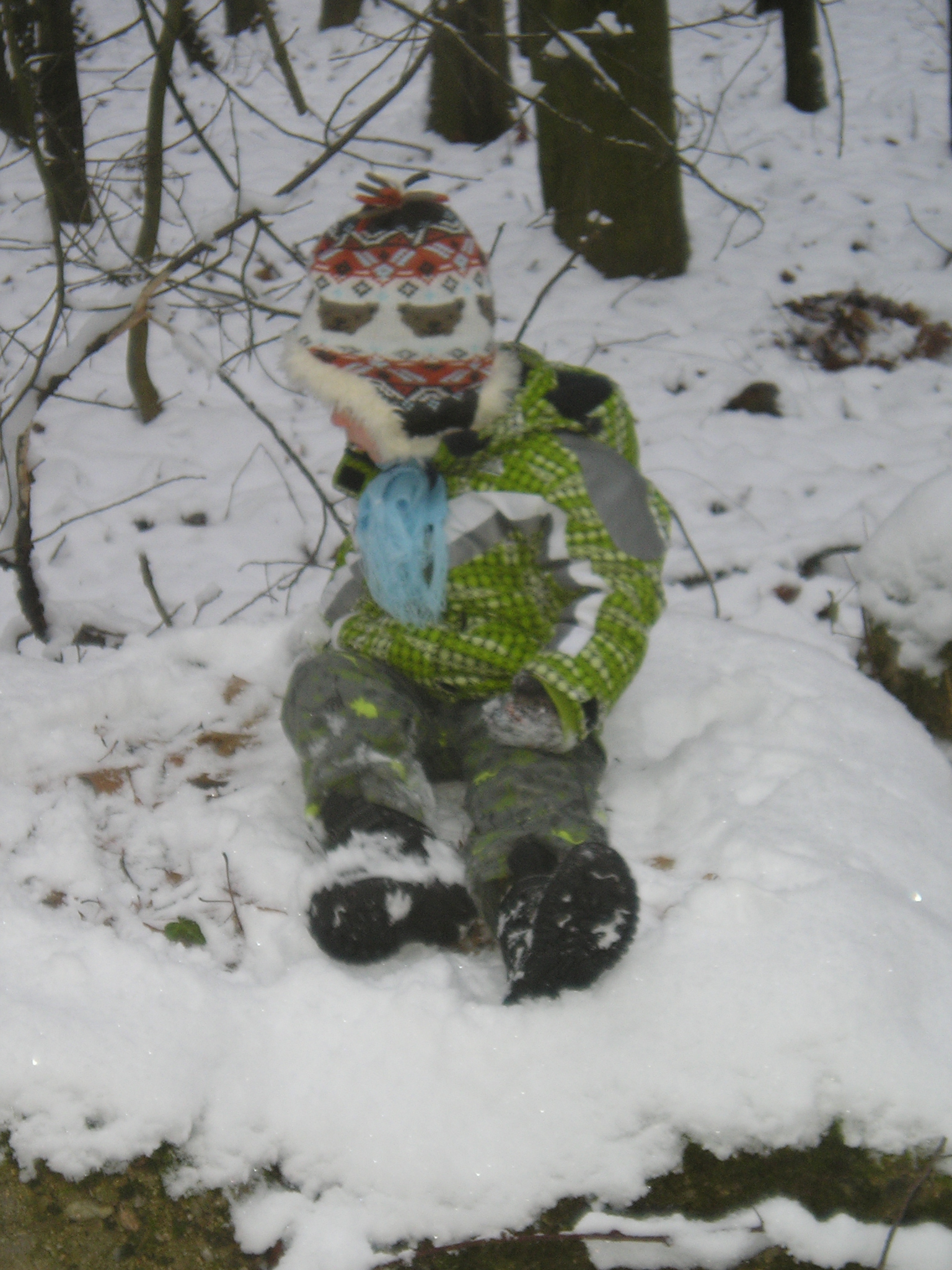 vánoce 2009 059.jpg